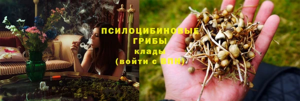 apvp Алексеевка
