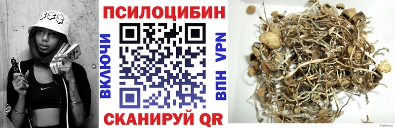 Галлюциногенные грибы MAGIC MUSHROOMS  кракен вход  Сурск 